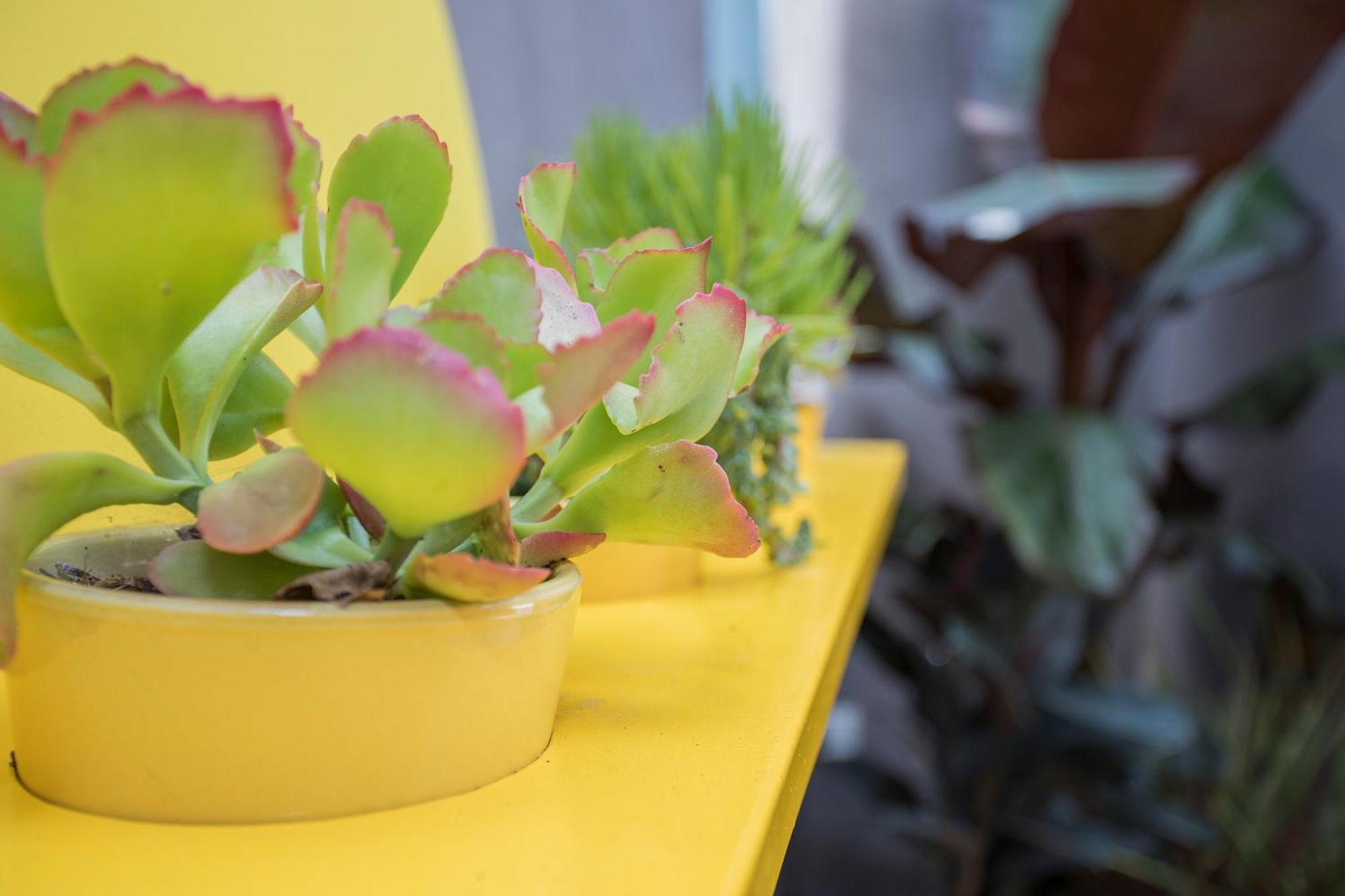 Liiiving In Porto - Clerigos Terrace Apartment מראה חיצוני תמונה