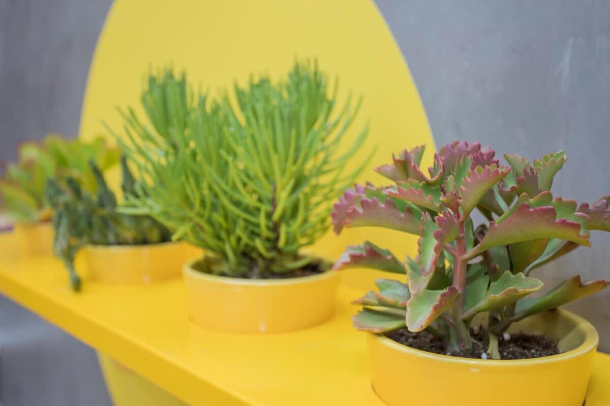 Liiiving In Porto - Clerigos Terrace Apartment מראה חיצוני תמונה